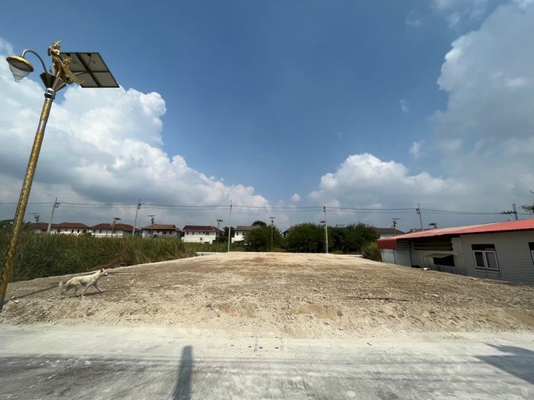 ให้เช่าที่ดิน 100ตรว ถมแล้ว ลาดกระบัง14-1