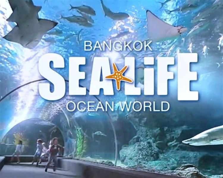 รถล้างสต๊อกจำนวนจำกัด บัตรเข้าชม Sea Life Bangkok สยามพารากอน รูปที่ 4