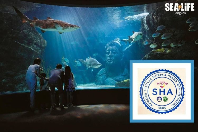 รถล้างสต๊อกจำนวนจำกัด บัตรเข้าชม Sea Life Bangkok สยามพารากอน รูปที่ 2