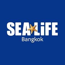 รถล้างสต๊อกจำนวนจำกัด บัตรเข้าชม Sea Life Bangkok สยามพารากอน รูปที่ 14