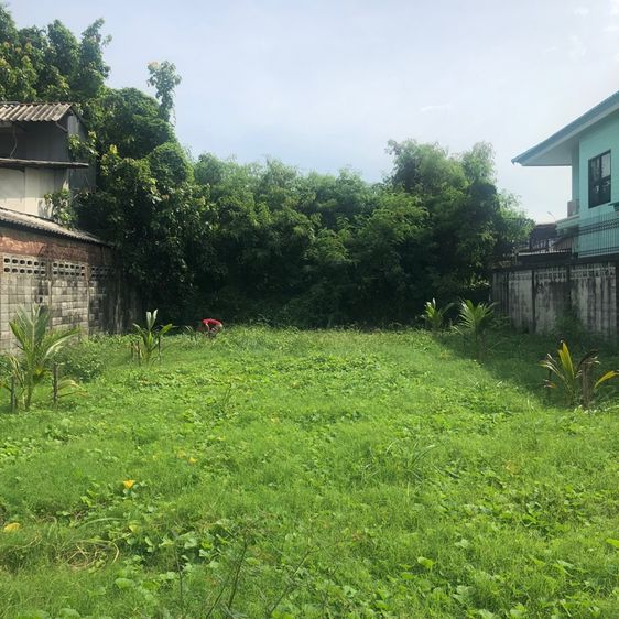 ทีดินเปล่า แบริ่ง-ลาซาล รูปที่ 2