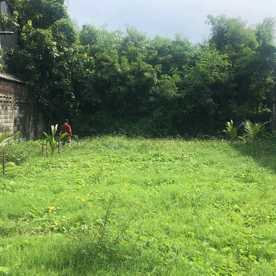 ทีดินเปล่า แบริ่ง-ลาซาล