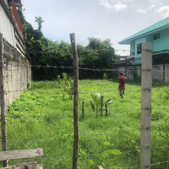 ทีดินเปล่า แบริ่ง-ลาซาล รูปที่ 3