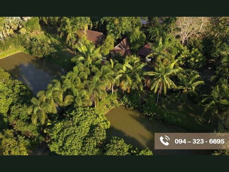 บ้านและที่ดิน รูปที่ 3