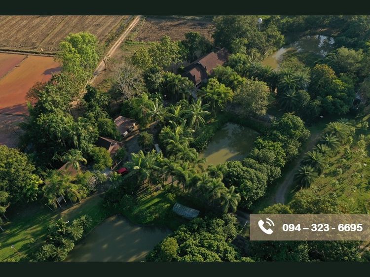 บ้านและที่ดิน รูปที่ 4