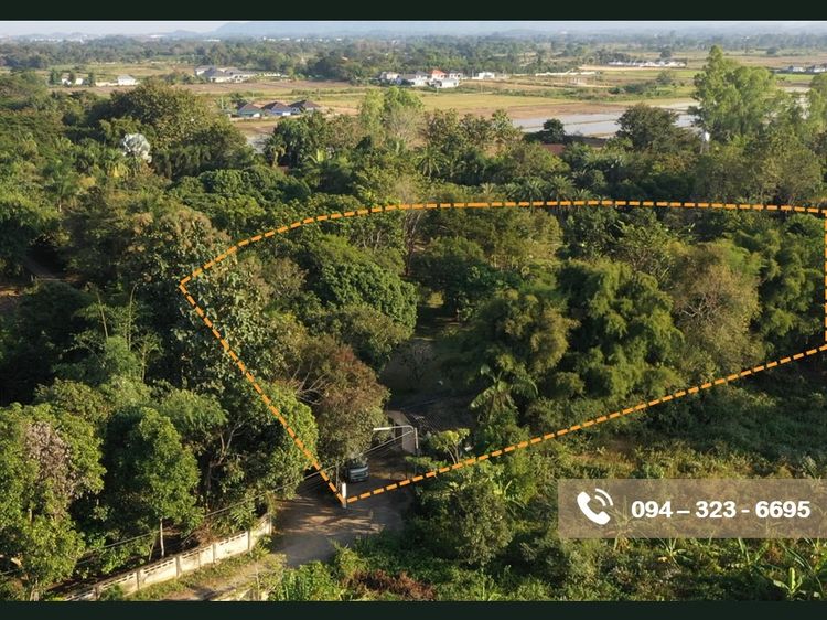 บ้านและที่ดิน รูปที่ 2