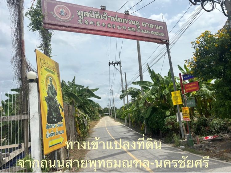 ขายที่ดิน 1 ไร่ ติดถนนซอยยิ่งเจริญ มหาสวัสดิ์ 4 อ.พุทธมณฑล ใกล้ศาลเจ้ากวนอู ศาลายา เจ้าของขายเอง รูปที่ 2