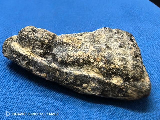 หลวงปู่ทวดเนื้อว่านพิมพ์ใหญ่ รูปที่ 10