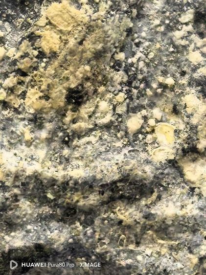 หลวงปู่ทวดเนื้อว่านพิมพ์ใหญ่ รูปที่ 2