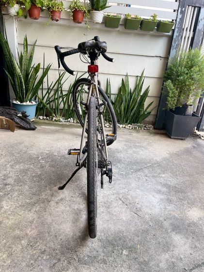 ขาย bianchi lupo size 52 ปั่นน้อย รูปที่ 4