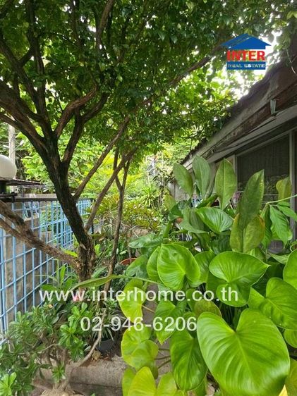 บ้านเดี่ยว 1 ชั้น 46 ตร.ว. หมู่บ้านธารทิพย์1 ซอยรามคำแหง62 ใกล้ร้านForever wedding ถนนรามคำแหง เขตบางกะปิ กรุงเทพมหานคร รูปที่ 4