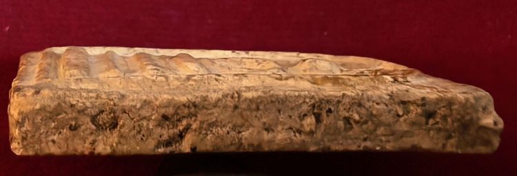 พระสมเด็จพิมพ์ปรกโพธิ์ รูปที่ 12