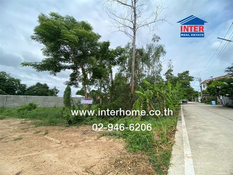 ไม่ใช่ ที่ดินเปล่า 104 ตร.ว. ที่ดินเปล่า ซอยคลองสาม9-11 ถนนคลองหลวง ถนนคลองสาม คลองหลวง ปทุมธานี รูปที่ 3
