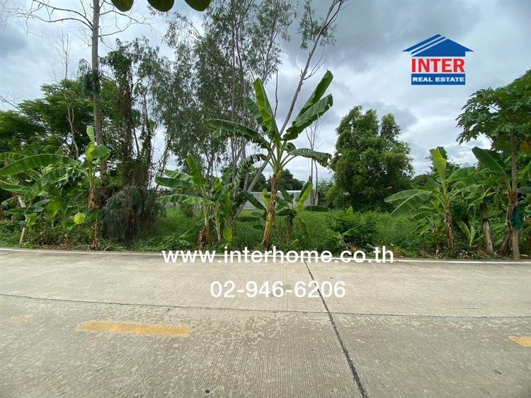 ไม่ใช่ ที่ดินเปล่า 104 ตร.ว. ที่ดินเปล่า ซอยคลองสาม9-11 ถนนคลองหลวง ถนนคลองสาม คลองหลวง ปทุมธานี รูปที่ 2