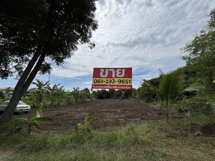  ขายที่ดินริมคลองโต๊ะใหม่ อ.บางบัวทอง นนทบุรี เนื้อที่ 446 ตารางวา ธรรมชาติสุดๆ ใกล้แหล่งชุมชน เข้า-ออก ถนนวัดลาดปลาดุก เพียง 2 กม. 