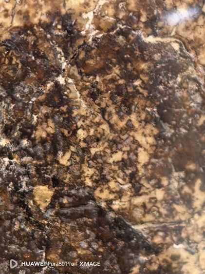 พระสมเด็จพิมพ์ใหญ่หน้าตั้กแตน รูปที่ 7