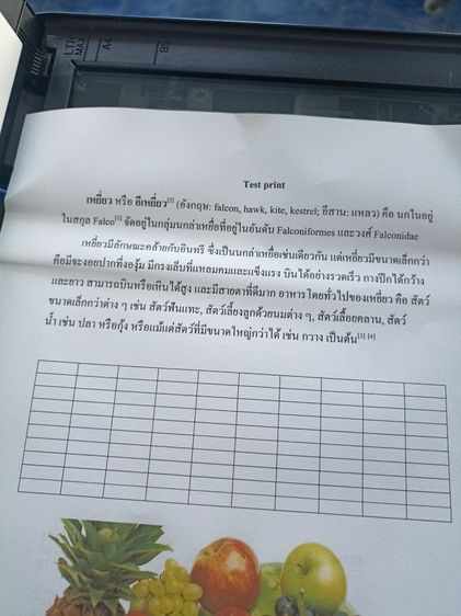 ปริ้นเตอร์ Epson L3110 รูปที่ 9