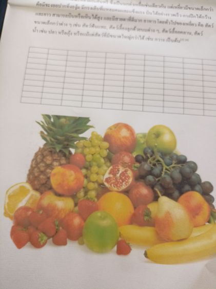 ปริ้นเตอร์ Epson L3110 รูปที่ 8