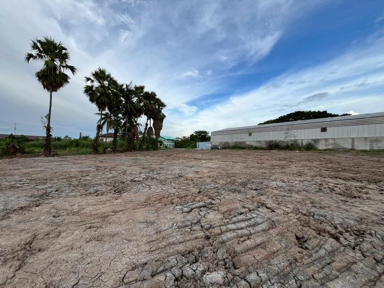 ขายที่ดินถมแล้ว 1-3-51 ไร่ พื้นที่สีม่วงลาย กว้าง 64 เมตร อ.บางบัวทอง จากถนน 340 บางบัวทอง-สุพรรณบุรี นนทบุรี เข้าซอย อิสลามียะห์ 450 ม. รูปที่ 2