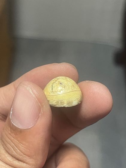 หัวแหวนคตงานแท้ รูปที่ 2