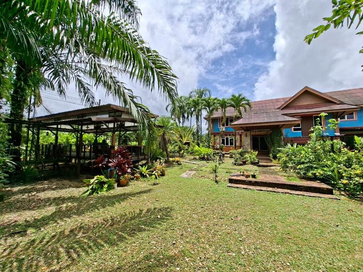 มีบางส่วน ขายที่ดิน 2-2-71.3 ไร่ พร้อมบ้าน จ.พังงา (เจ้าของโพสขายเอง) รูปที่ 4