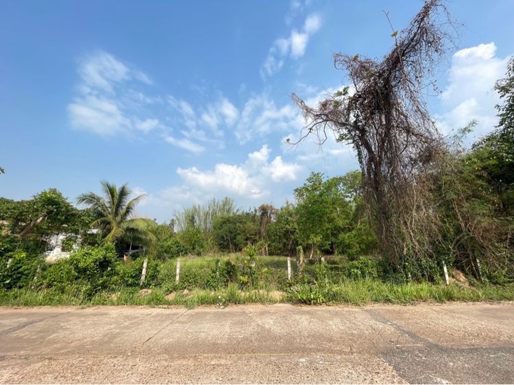 ขายที่ดินเปล่าถมแล้ว รูปที่ 4
