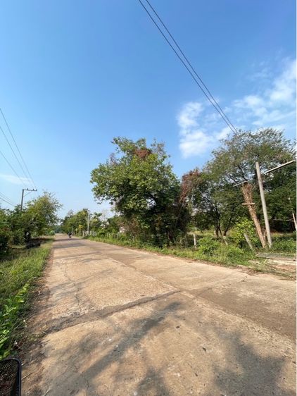 ขายที่ดินเปล่าถมแล้ว รูปที่ 3