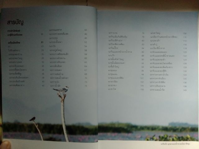 ชุดหนังสือ นกและผีเสื้อ รูปที่ 5