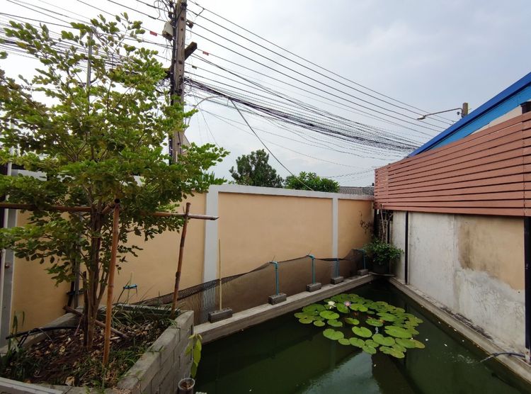 มีบางส่วน 2019 🌟 บ้านสวยสไตล์ Home Office 5ที่จอด ติดรถไฟฟ้า สายสีชมพู 🌟 รูปที่ 3
