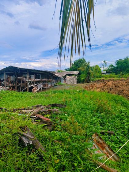 ขายที่ดิน คลอง 12 ปทุมธานี 1 ไร่ อยู่ใกล้ อบต.นพรัตน์ ติดถนน สายคลอง  รูปที่ 3