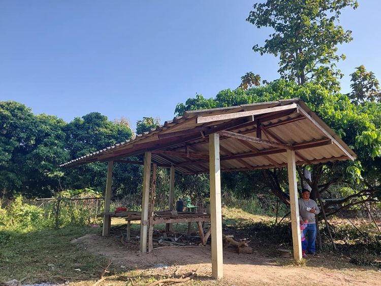 สวนลำไยวัยเกษียณ บรรยากาศดี 2ไร่2งาน16ตร.ว. รูปที่ 4