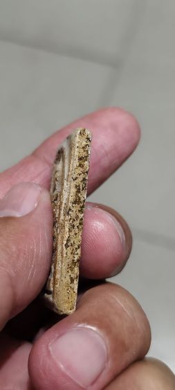 พระสมเด็จเก่าๆ รูปที่ 6