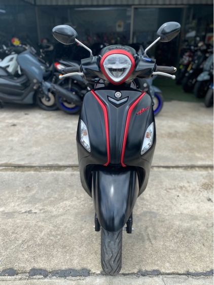 grand filanoปี22