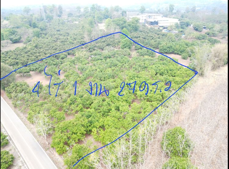 ขายที่ดินเปล่า ทำเลดี