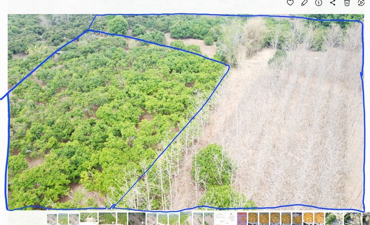 ขายที่ดินเปล่า ทำเลดี รูปที่ 2