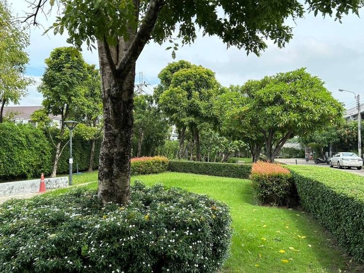 Areeya Property ไม่มี ทาวน์โฮม 2 ชั้นรีโนเวทใหม่ สวยมาก พร้อมอยู่ หน้าบ้านติดสวนส่วนกลาง อารียา เดอะคัลเลอร์ส เฟส 3 วงแหวน-รามอินทรา  รูปที่ 4