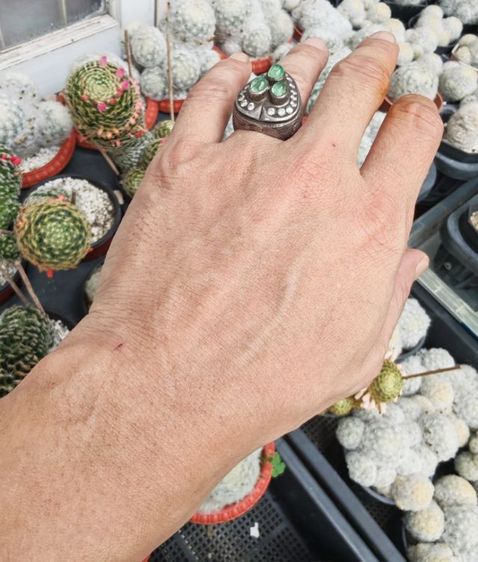 แหวนเงินแท้ หัวฝังมรกตและพลอยขาว งานเก่างานนอก สวบหายากมาก ราคาแบ่งปันครับ รูปที่ 10