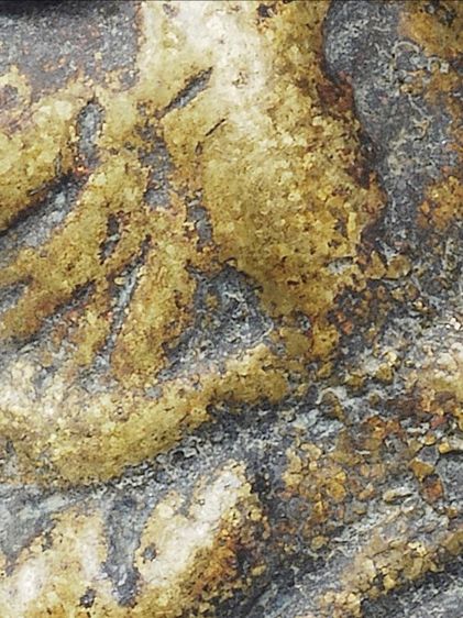 สวยมาก ให้เช่า พระบ้าน (1ในตำนาน) พระรูปหล่อหลวงพ่อเงิน วัดบางคลาน พิมพ์ขี้ตา เก่า รูปที่ 14