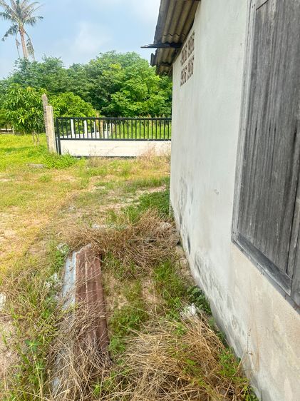 บ้านและที่ดินเทศบาลหนองรีจำนวน1งาน24.6ตารางวา