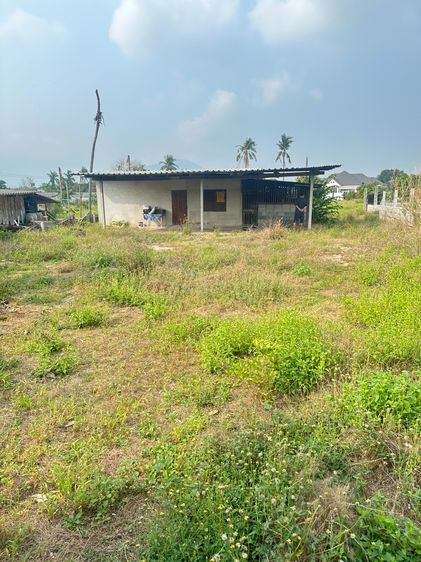 บ้านและที่ดินเทศบาลหนองรีจำนวน1งาน24.6ตารางวา รูปที่ 4