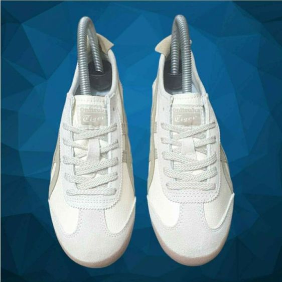 Onitsuka Tiger Mexico 66 size 36 23cm. รูปที่ 2