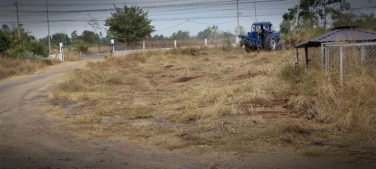 ขายที่ดินสวย 2.5 ไร่ ติดถนนหลัก(สี่เลน) ใกล้อุทยานนกน้ำบึงบอระเพ็ด รูปที่ 3