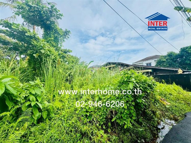 ไม่ใช่ ที่ดินเปล่า 94 ตร.ว. ที่ดินเปล่า ซอยเอกชัย30 แยก 14 ถนนกาญจนาภิเษก ถนนกัลปพฤกษ์ เขตบางขุนเทียน กรุงเทพมหานคร รูปที่ 3