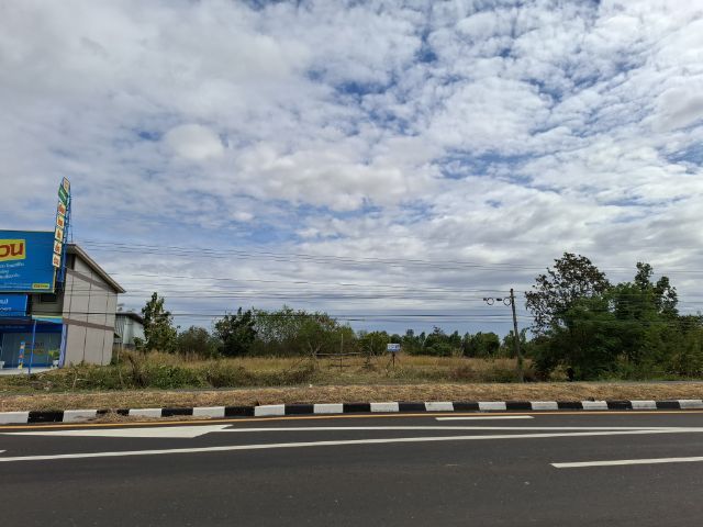 ขายที่ดินติดถนนสี่เลน ติดอาคารพาณิชย์ เส้นบุรีรัมย์-นางรอง ตำบลสะแกโพรง สนใจ0808952244 รูปที่ 4