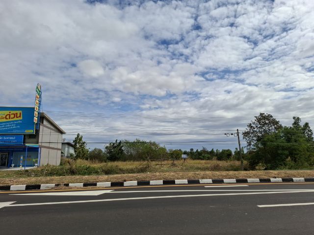 ขายที่ดินติดถนนสี่เลน ติดอาคารพาณิชย์ เส้นบุรีรัมย์-นางรอง ตำบลสะแกโพรง สนใจ0808952244