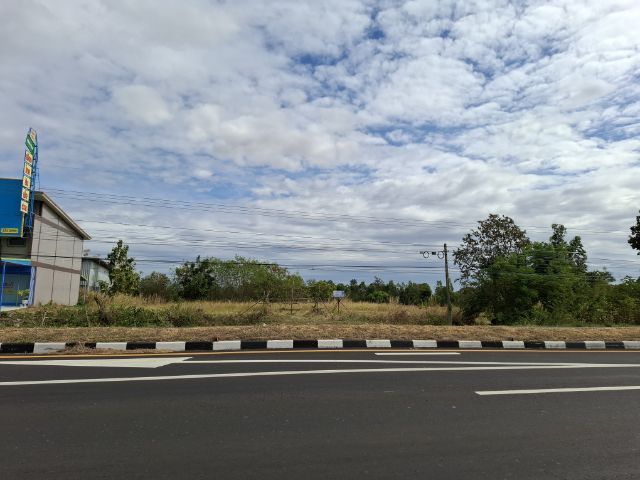 ขายที่ดินติดถนนสี่เลน ติดอาคารพาณิชย์ เส้นบุรีรัมย์-นางรอง ตำบลสะแกโพรง สนใจ0808952244 รูปที่ 3