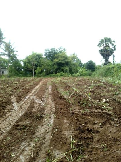 ขายที่ดินทำเลดี ติดน้ำไหล2ด้าน จากแม่น้ำ2สาย น่าอยู่เป็นธรรมชาติ