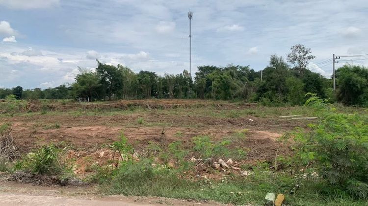 ขายที่ดินติดถนนดำ9ไร่60ตรว.