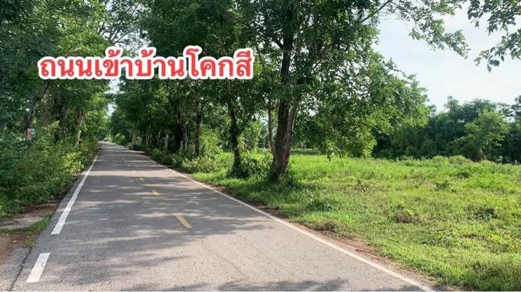 ขายที่ดิน1งาน49ตรว. รูปที่ 3