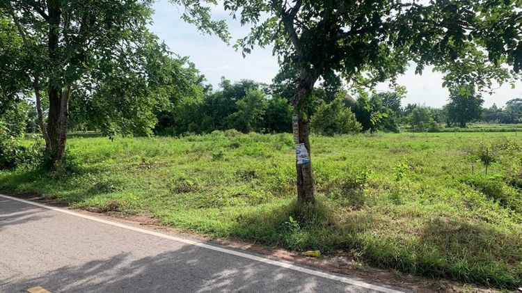 ขายที่ดิน1งาน49ตรว.